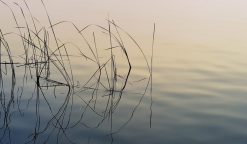 Henry Bronett Stillhet – Fotografi, 40×61 cm, signerad, upplaga 20 ex