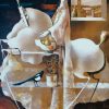 Josep Baques Bird – Litografi, 54×36 cm, signerad, upplaga 250 ex