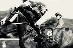 Henry Bronett Derby – Fotografi, 30×21 cm, signerad, upplaga 10 ex