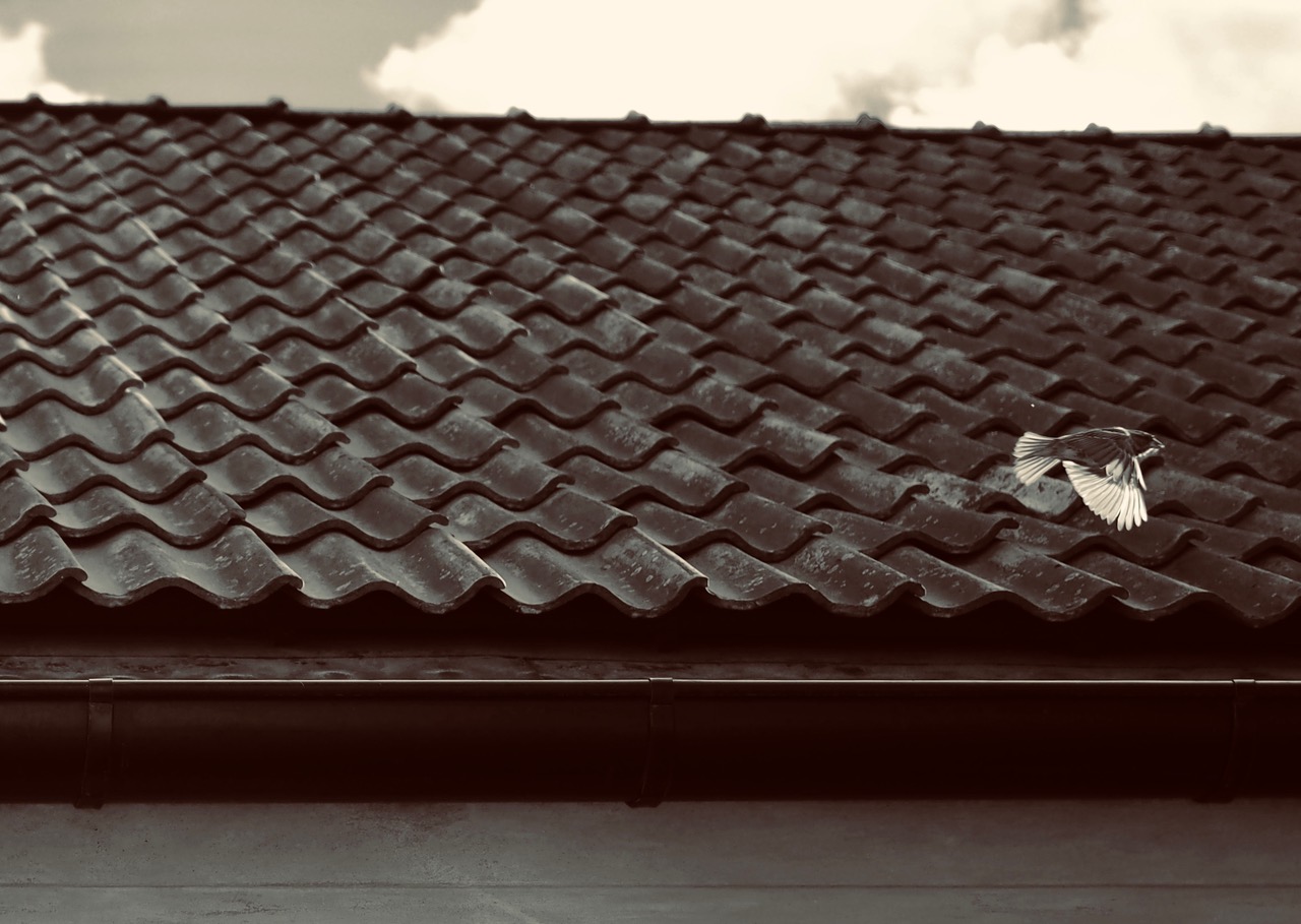 Riksantikvarieämbetet, tegeltak vid Narvavägen