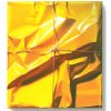 Yrjö Edelmann Stringed Yellow Power – Giclée, 30×25 cm, signerad, upplaga 325 ex