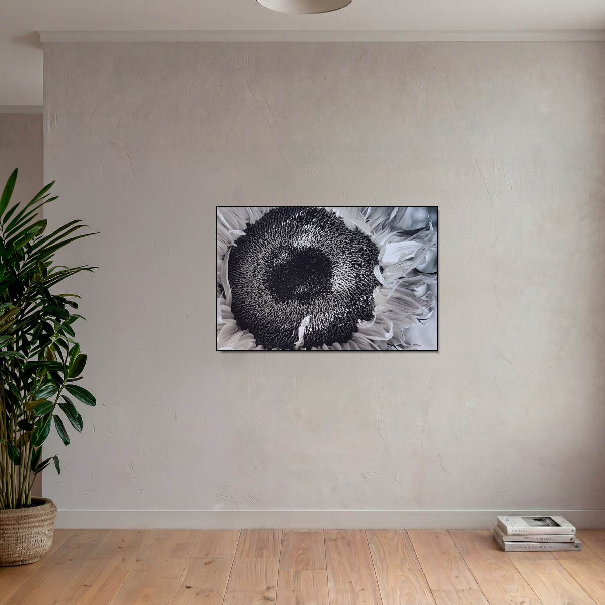 Solros - Bild 6