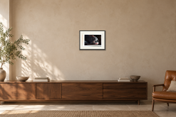 Karies - Giclée i Över en skänk. Illustrerad inramning, ungefärlig rumsskala.
