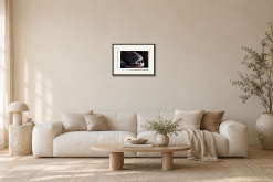 Karies - Giclée i Vardagsrum – soffa. Illustrerad inramning, ungefärlig rumsskala.